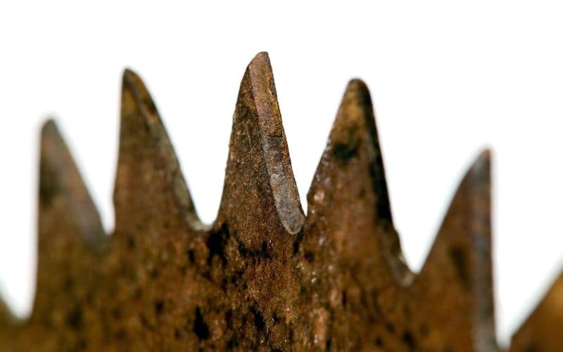 Why Is My Blade Rusting? [Updated On 2023]